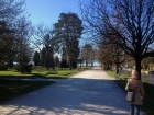 42_morges_park.jpg