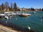 43_morges_hafenpromenade.jpg