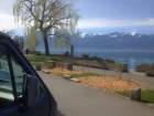 07_vevey_see.jpg