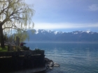 08_vevey_see02.jpg