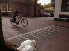 45_middelburg_velo