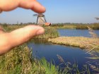 9978__kinderdijk